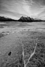 abraham lake.jpg